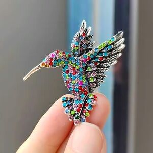 Multicolor Hummingbird Bird Brooch